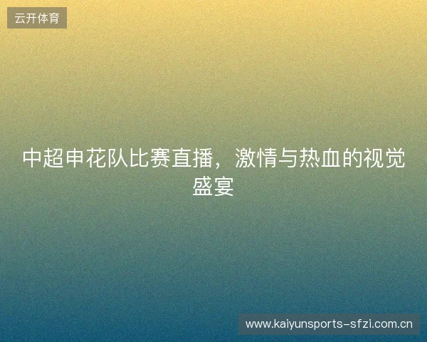 中超申花队比赛直播，激情与热血的视觉盛宴